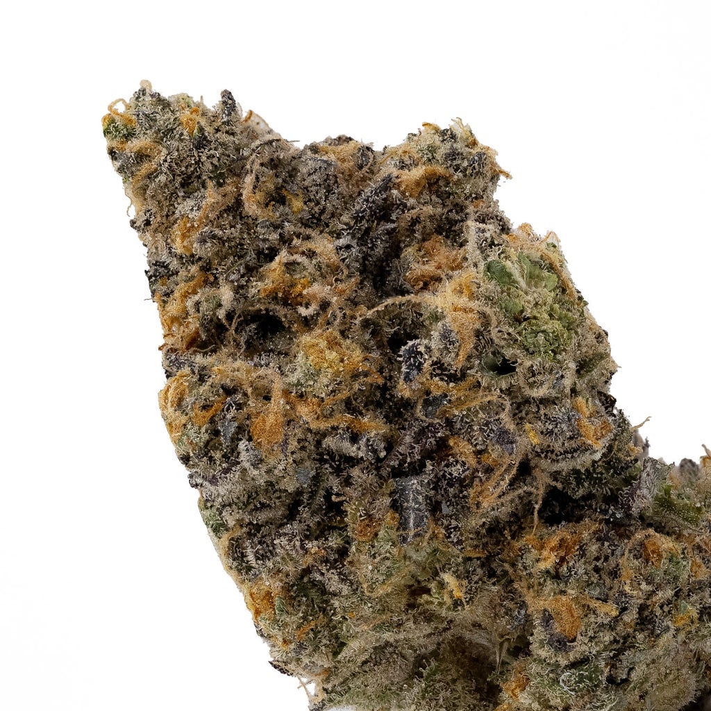 Gelonade (Cream Of The Crop)
