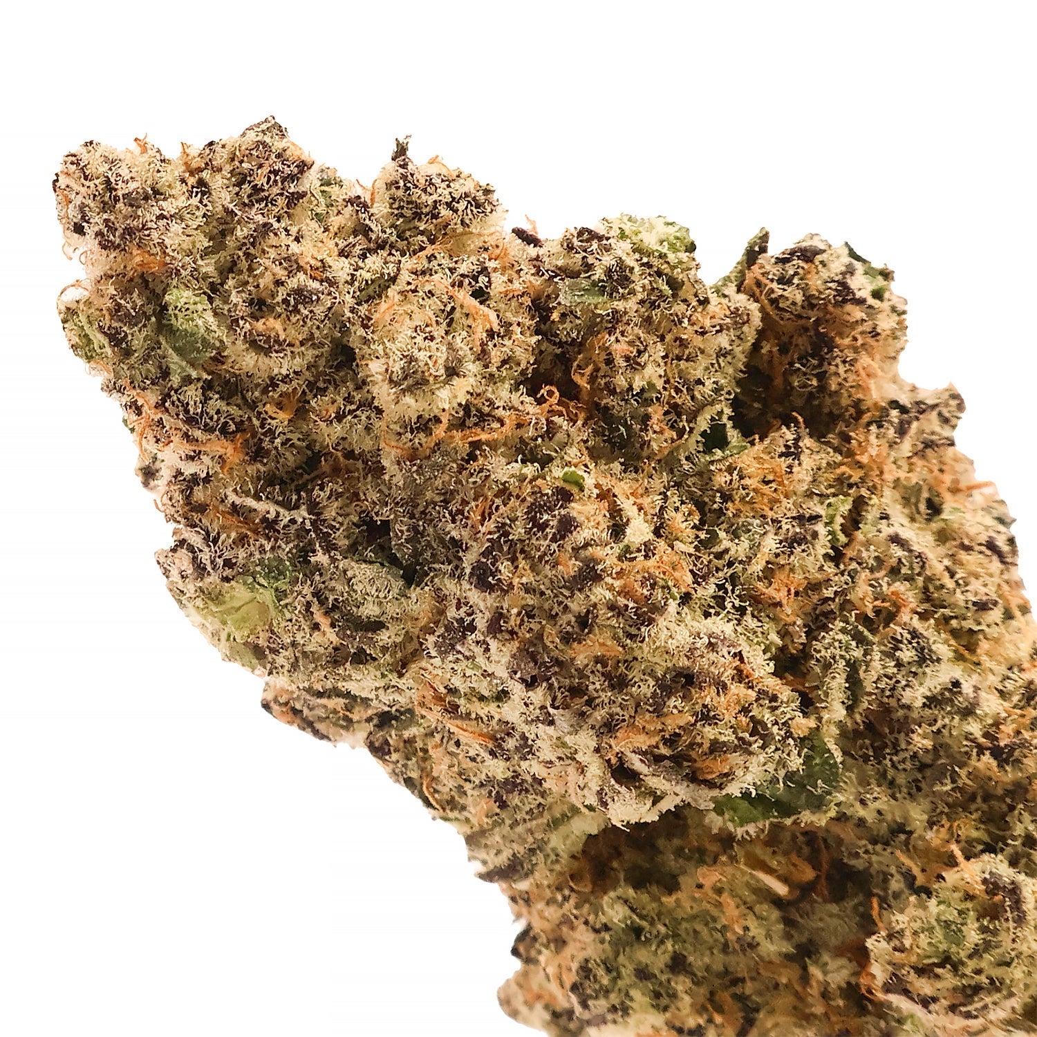 Hoot-Blueberry-Sugar-04