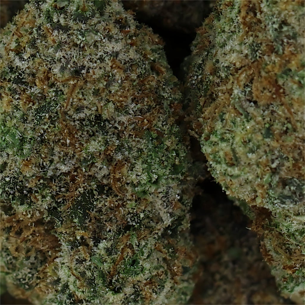 Jungle Ridge - Girl Scout Cookies (smalls)
