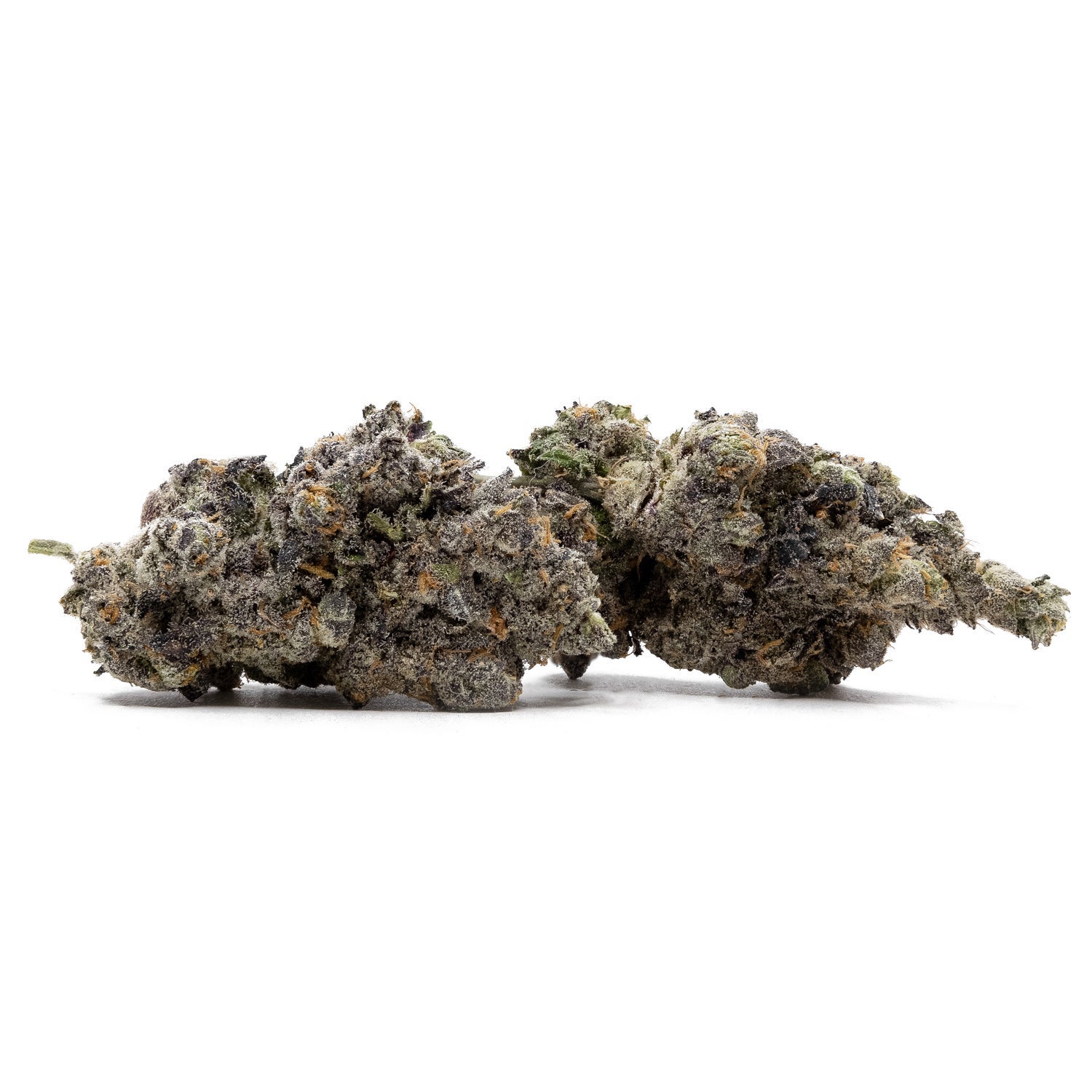 SunsetRuntz-CreamoftheCrop-01
