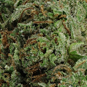 Superdank - Tom Ford Pink Kush - Image 5