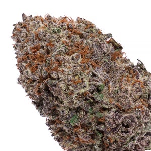 Lucky Farms - Black Domina - Image 4