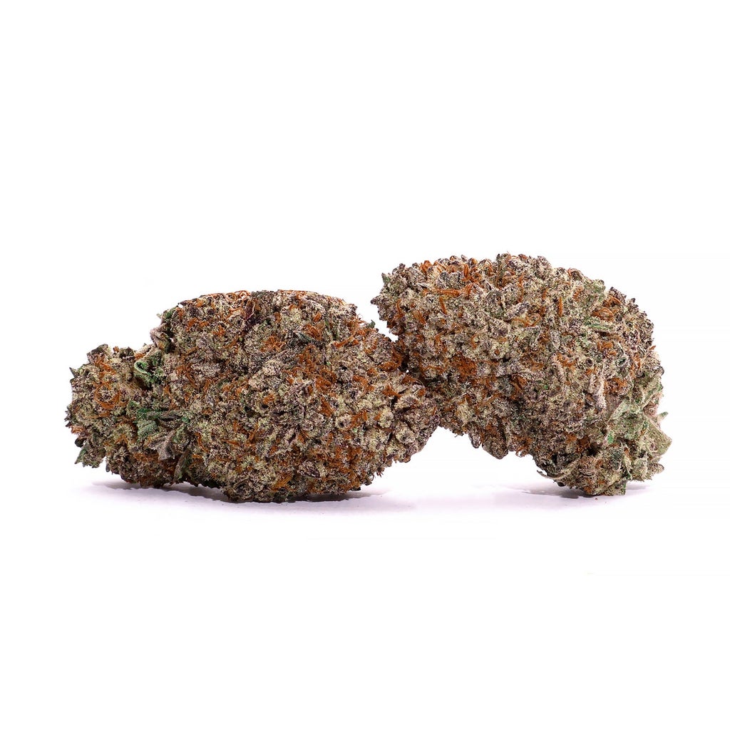 Lucky Farms - Black Domina