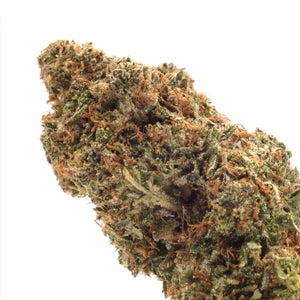 Jungle Ridge - 91 Octane - Image 2