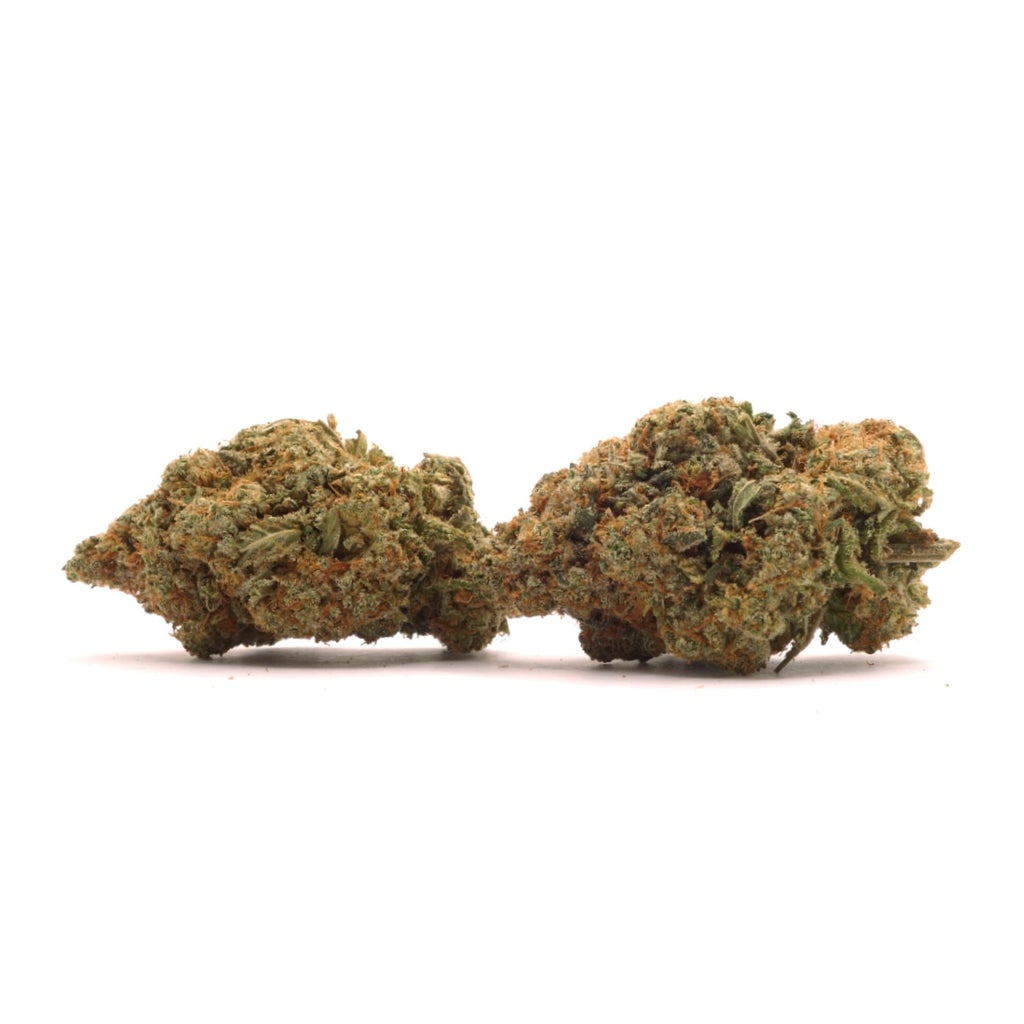 Jungle Ridge - Girl Scout Cookies
