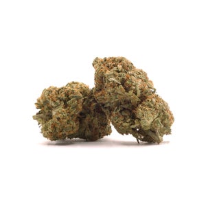 Jungle Ridge - Girl Scout Cookies - Image 2