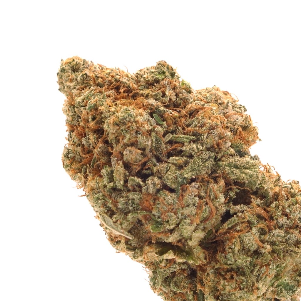 Jungle Ridge - Girl Scout Cookies