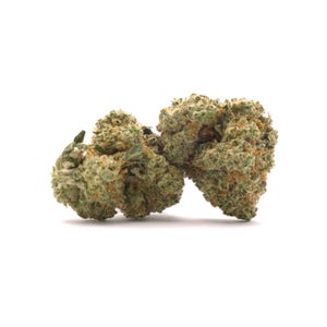 Dollar Treez - Blue Lobster - Image 2