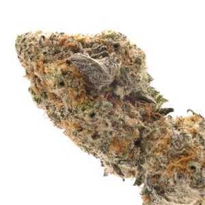 Lucky Farms - White Truffle - Image 4