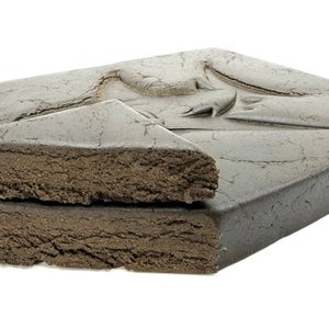 Hive - Shark Hash - Image 3