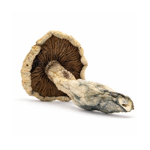 Amazeballs - APER - Image 2