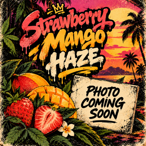 MuM's Cannabis - Strawberry Mango Haze