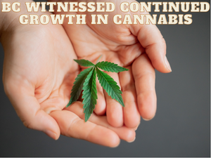 BC witnessed continued growth in cannabis