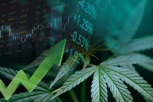 Avoiding Market Markups The Financial Benefits of DIY Cannabis Cultivation