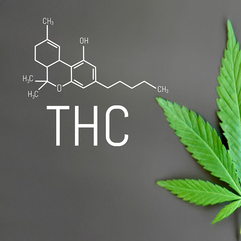 Finding The Right Balance: Exploring THC Potency, Benefits, And Risks ...