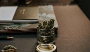 Cannabis in the Workplace: Understanding Employment Policies and Drug Testing