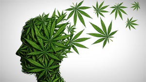 Understanding Cannabis and Mental Health