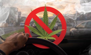 Cannabis and Driving: Navigating Safety and Personal Freedom