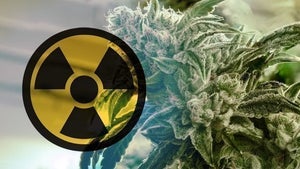 The Dark Side of Irradiation: Why it's Time to Reconsider the Use of Radiation in Cannabis