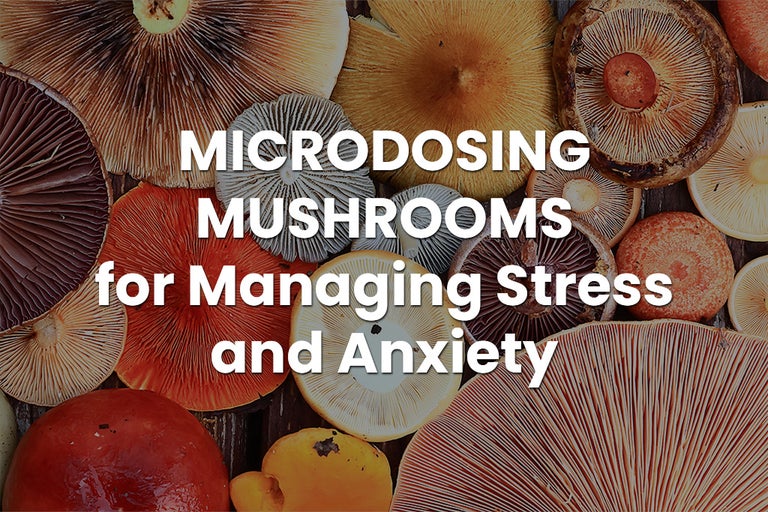 Microdosing Mushrooms for Stress and Anxiety