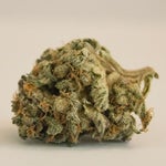 featured-image-weed-blog-105wTt5rHBq