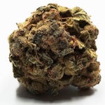 featured-image-weed-blog-151BE3Cyz8P