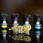 featured-image-weed-blog-204gCpP5rCs