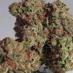 featured-image-weed-blog-34SHNX2qt0