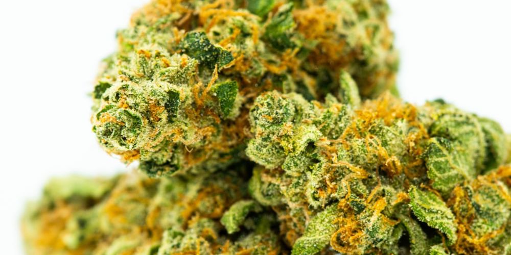 What Are the Benefits of the Skywalker OG Strain? ONLYGAS