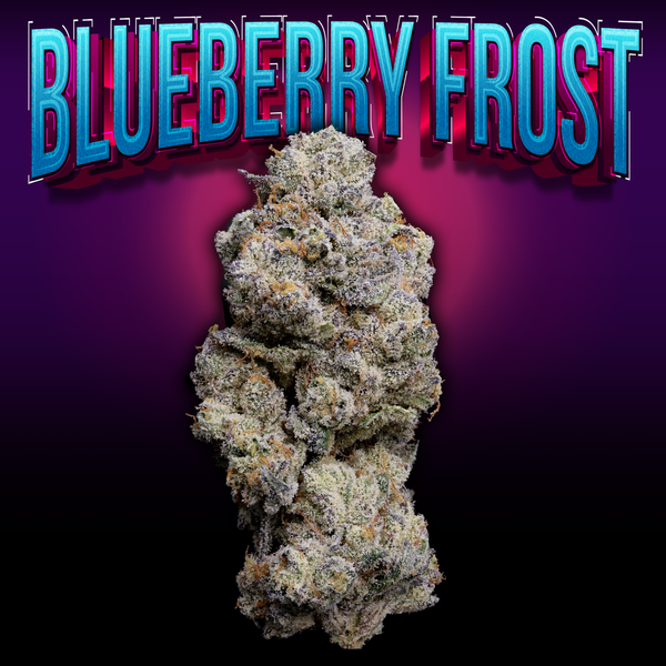 Blueberry Frost Thumbnail