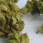 featured-image-medical-marijuana-42KoLReZex