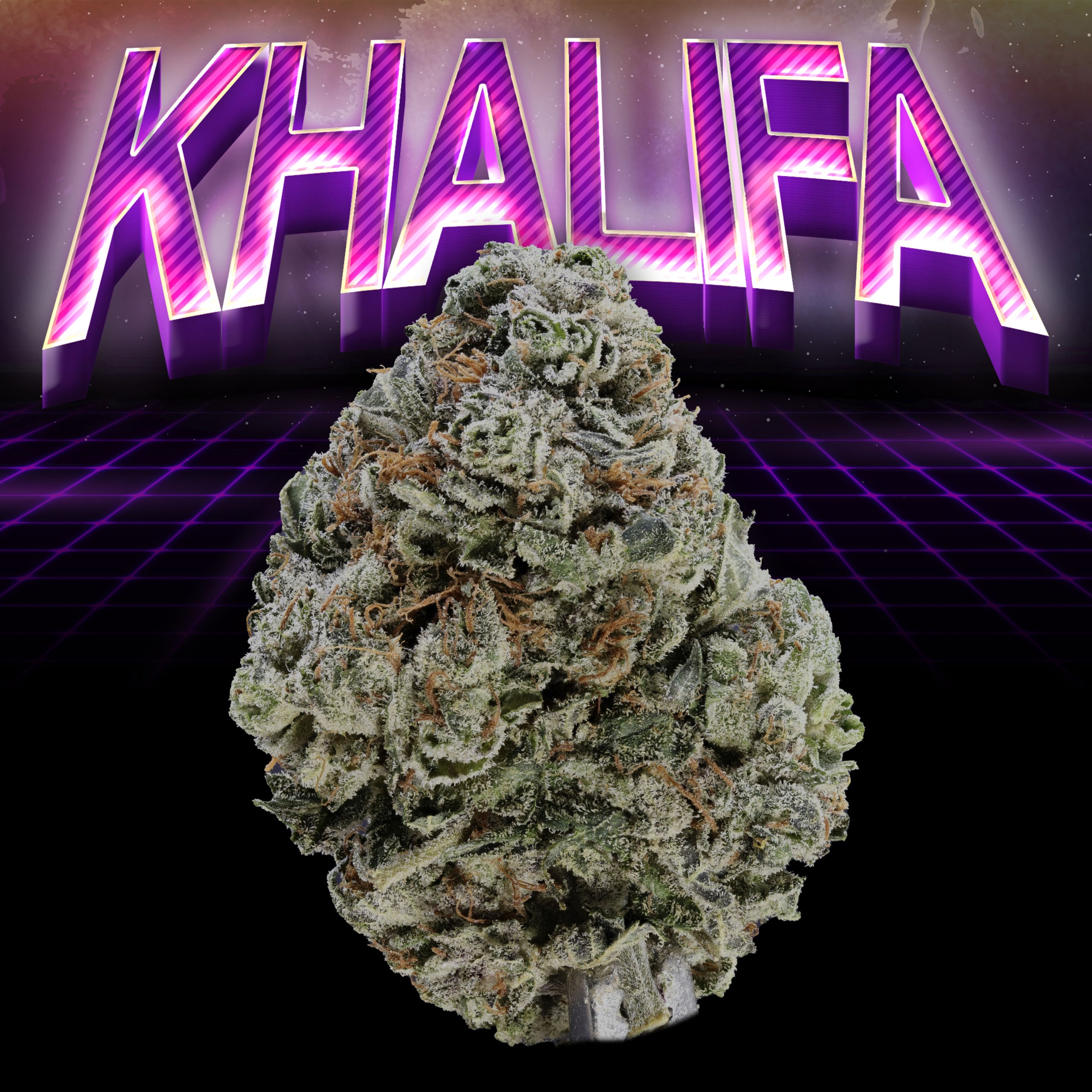Khalifa Bud Pic