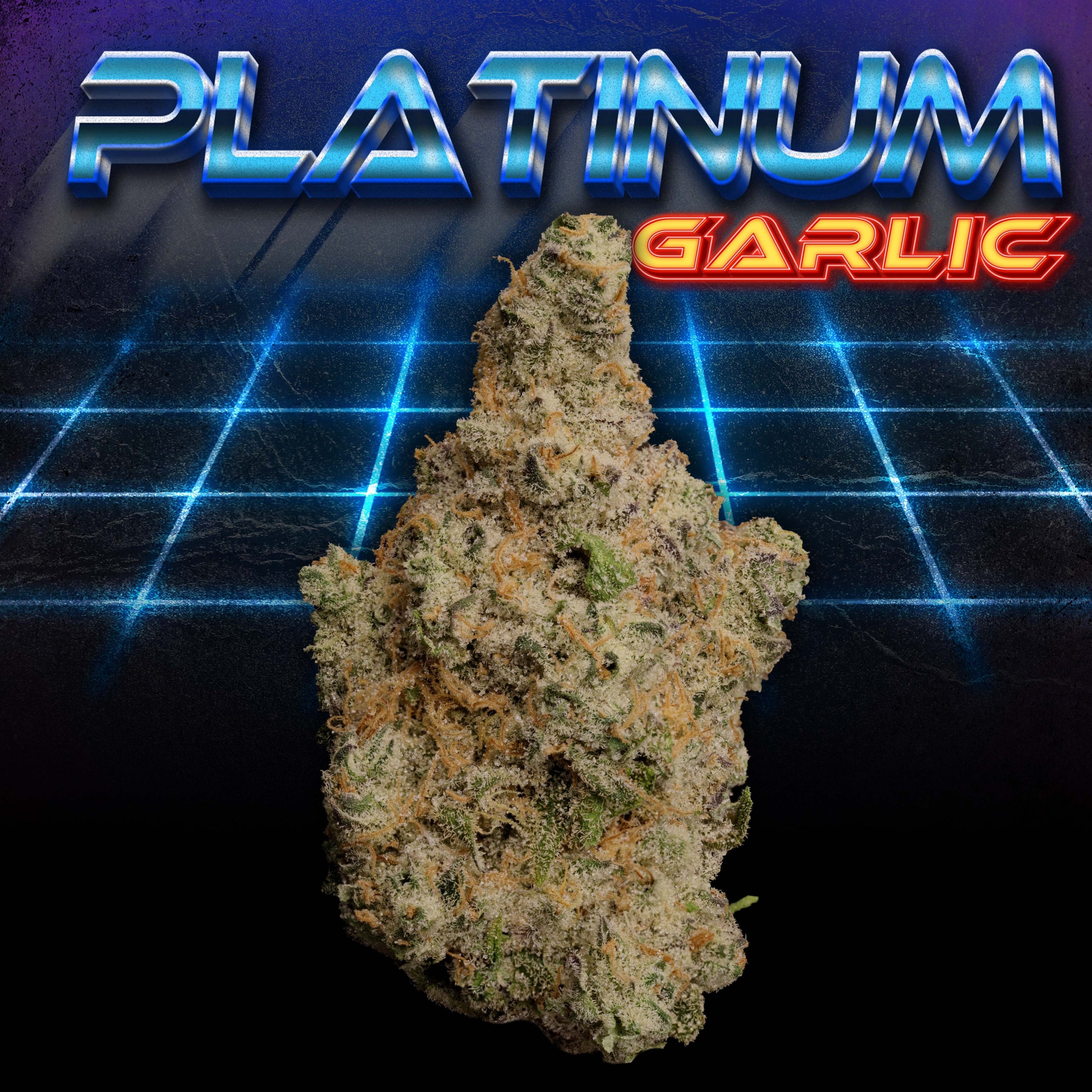 Platinum Garlic — AAA — Indica OUT OF STOCK ONLYGAS