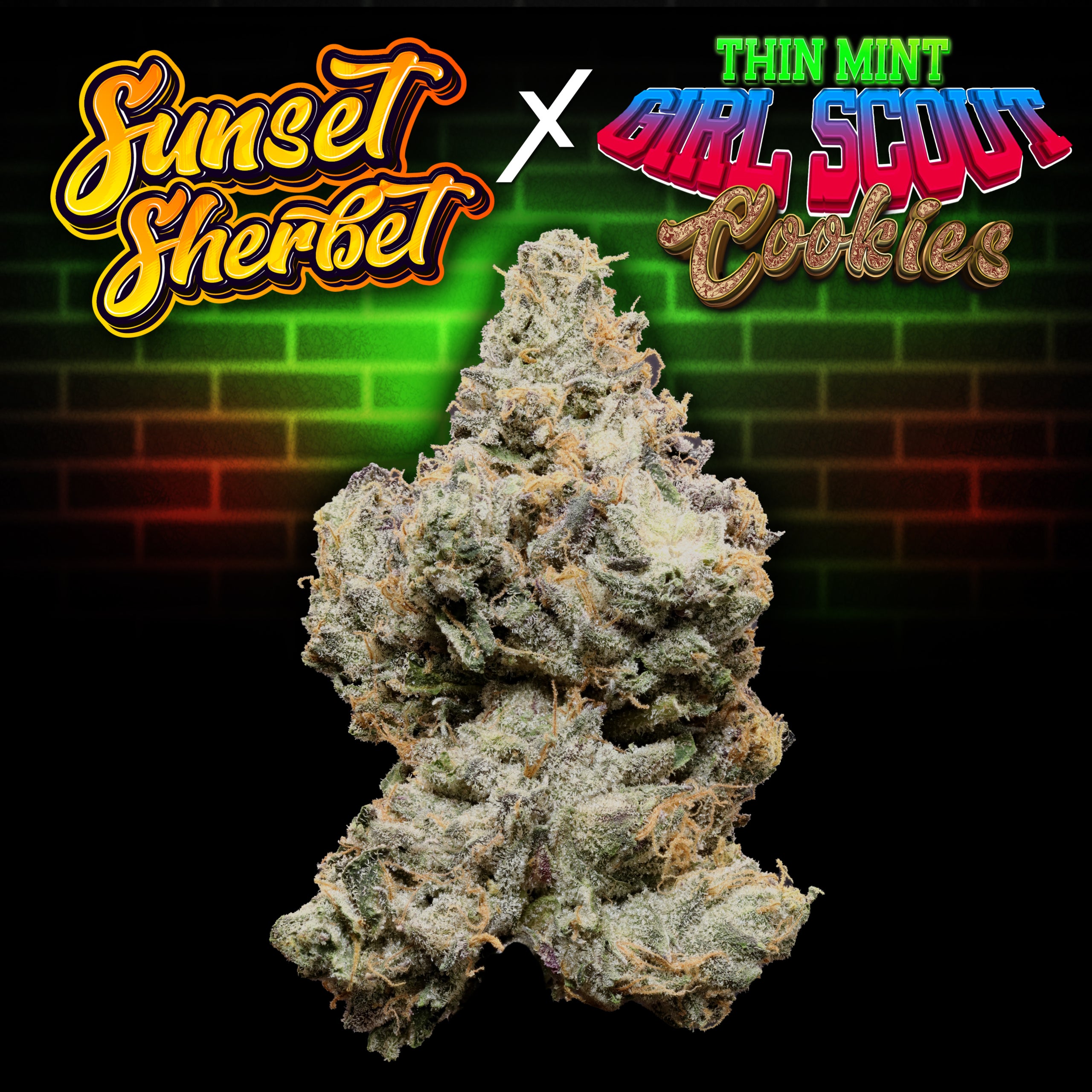 Sunset Sherbet x Thin Mint Girl Scout Cookies