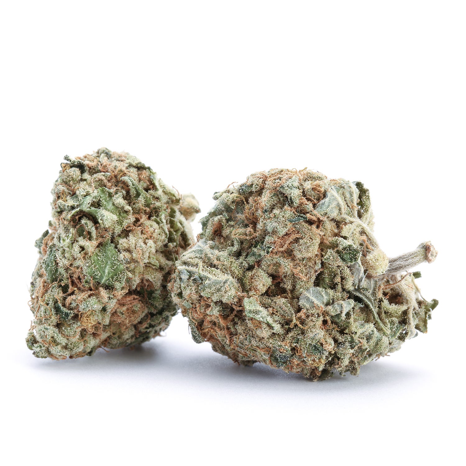 flowers-lemon-ice-group