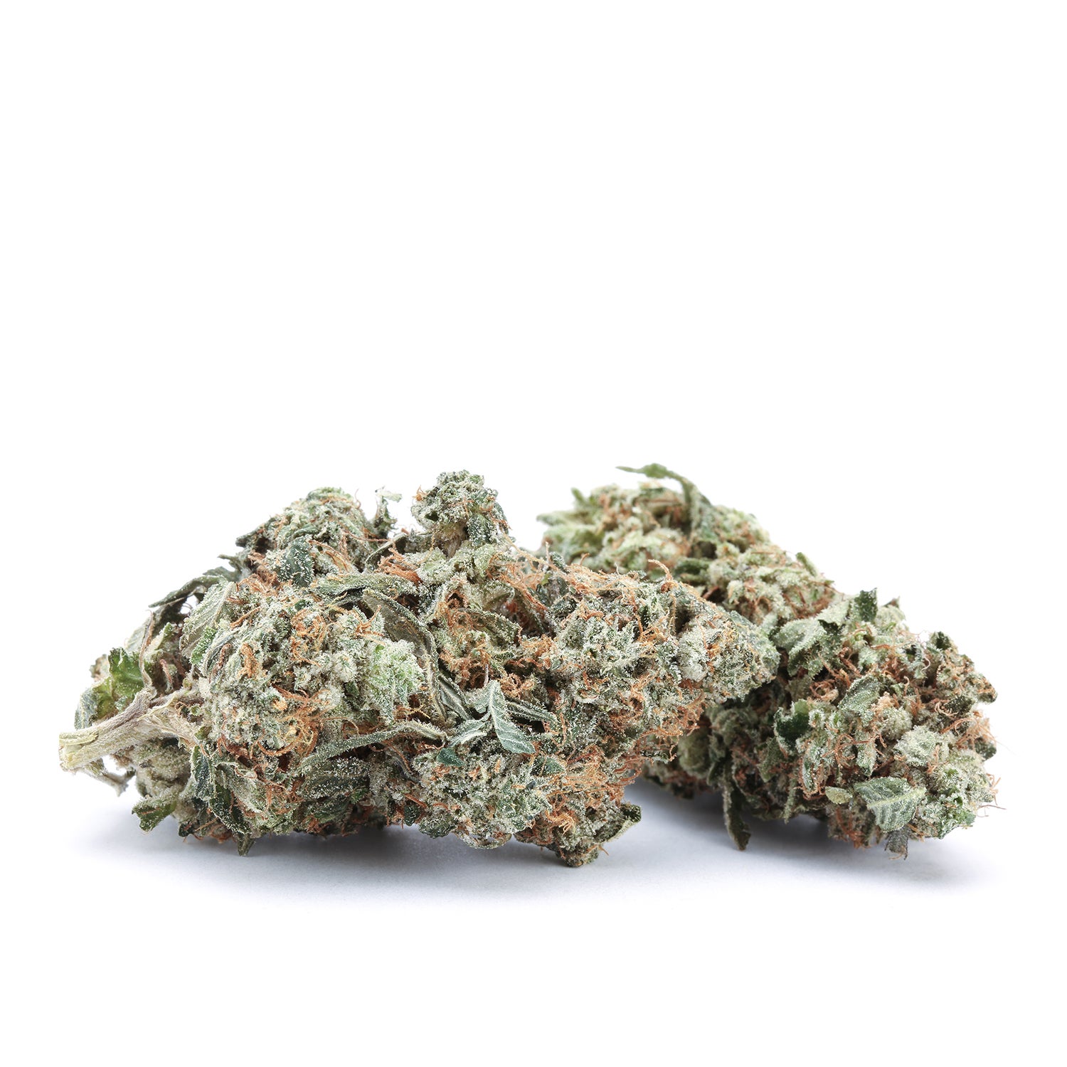 flowers-gas-mask-group