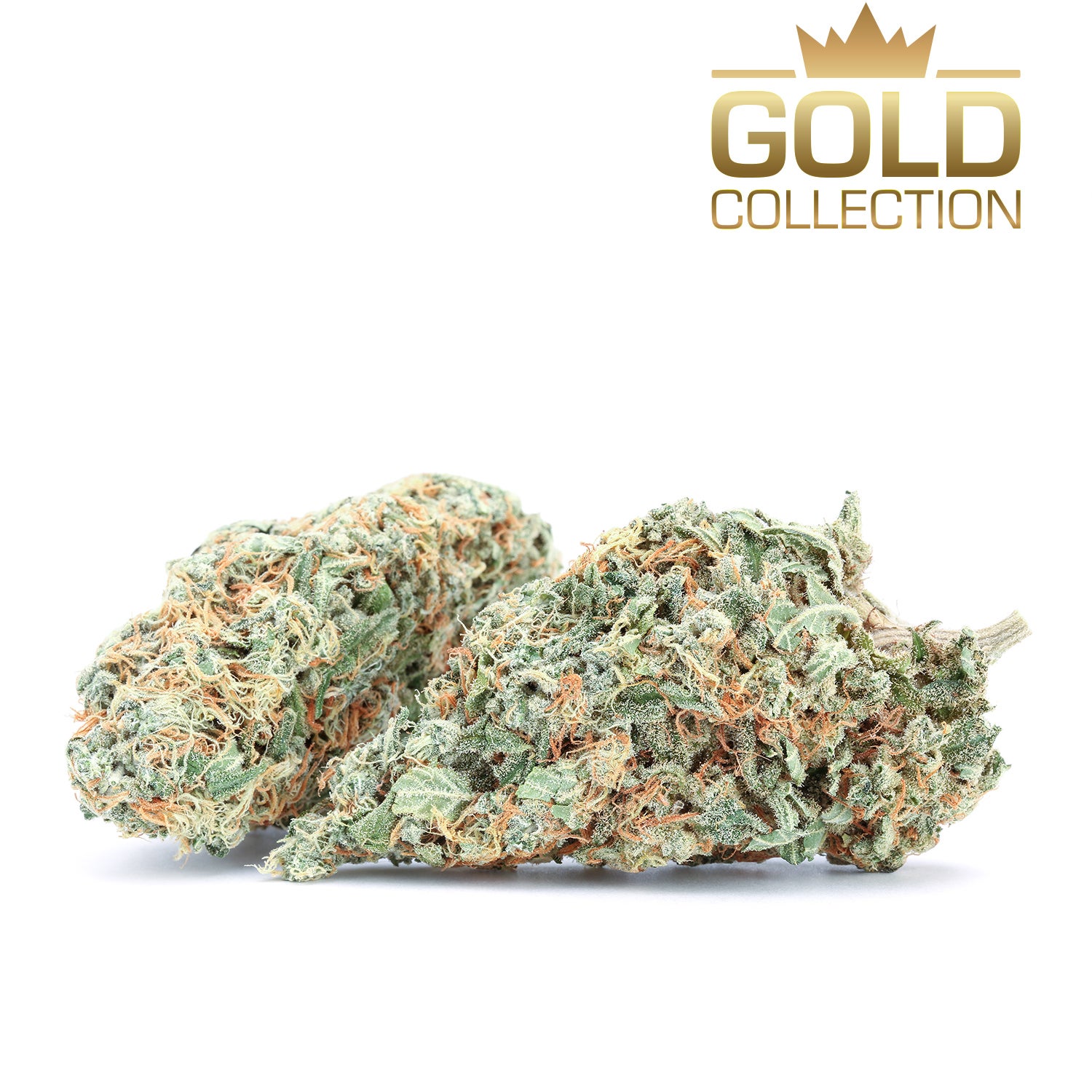 gold-flowers-uk-white-widow-group