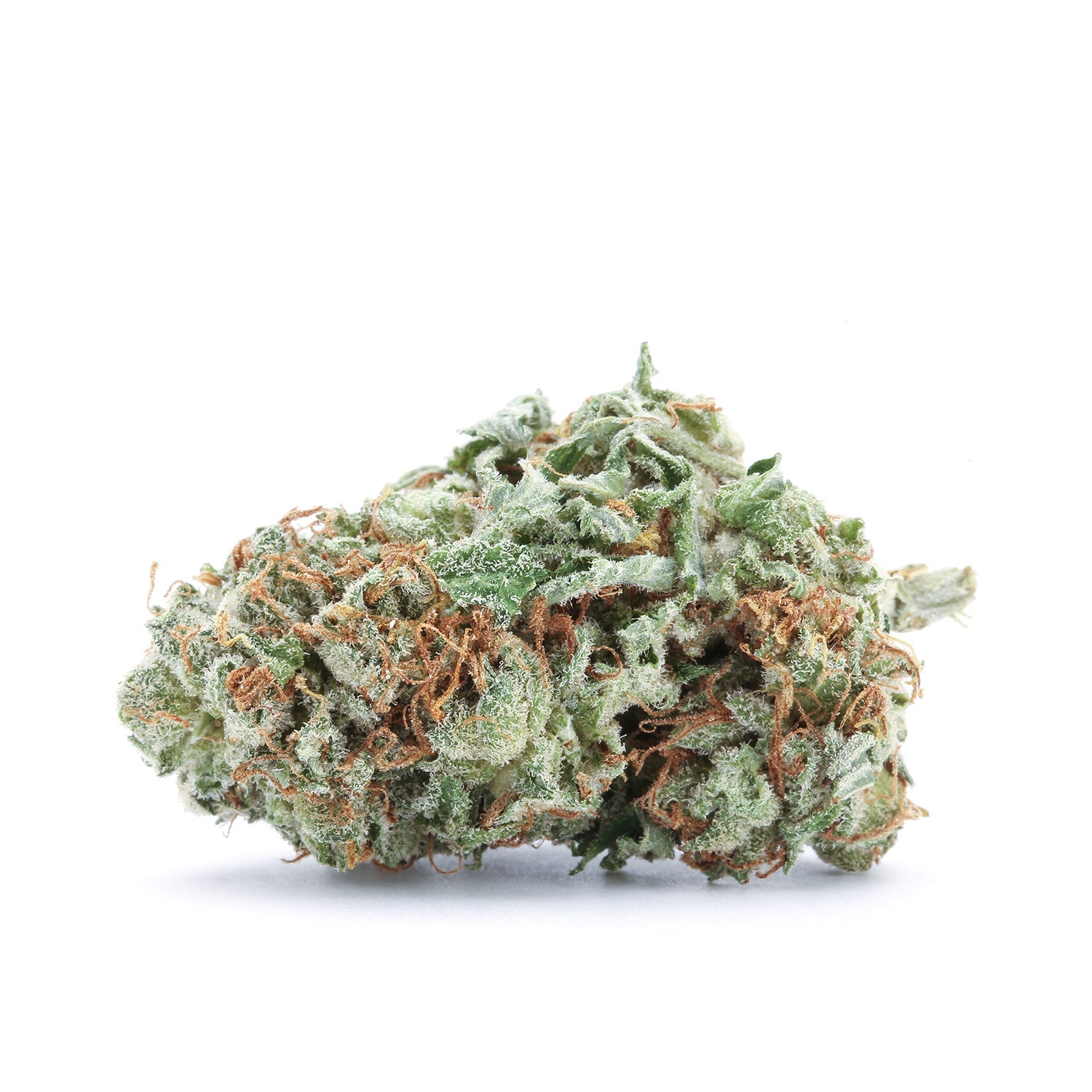 flowers-pot-of-gold-single