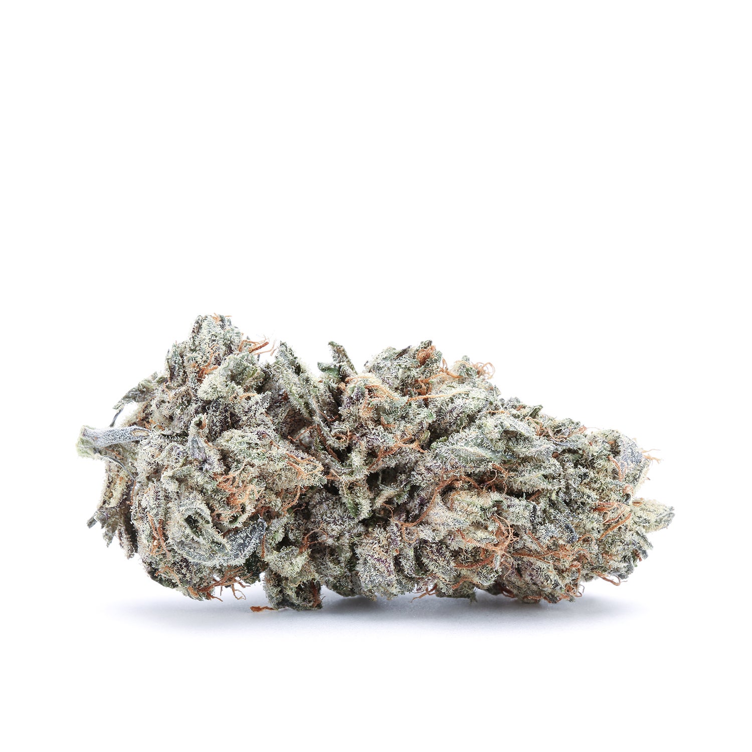 flowers-purple-malawi-single-180329