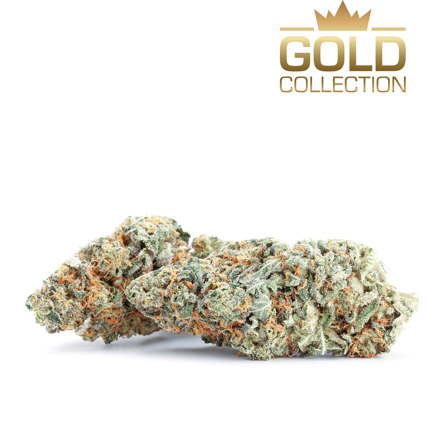 gold-flowers-dharamasala-organic-group-180723