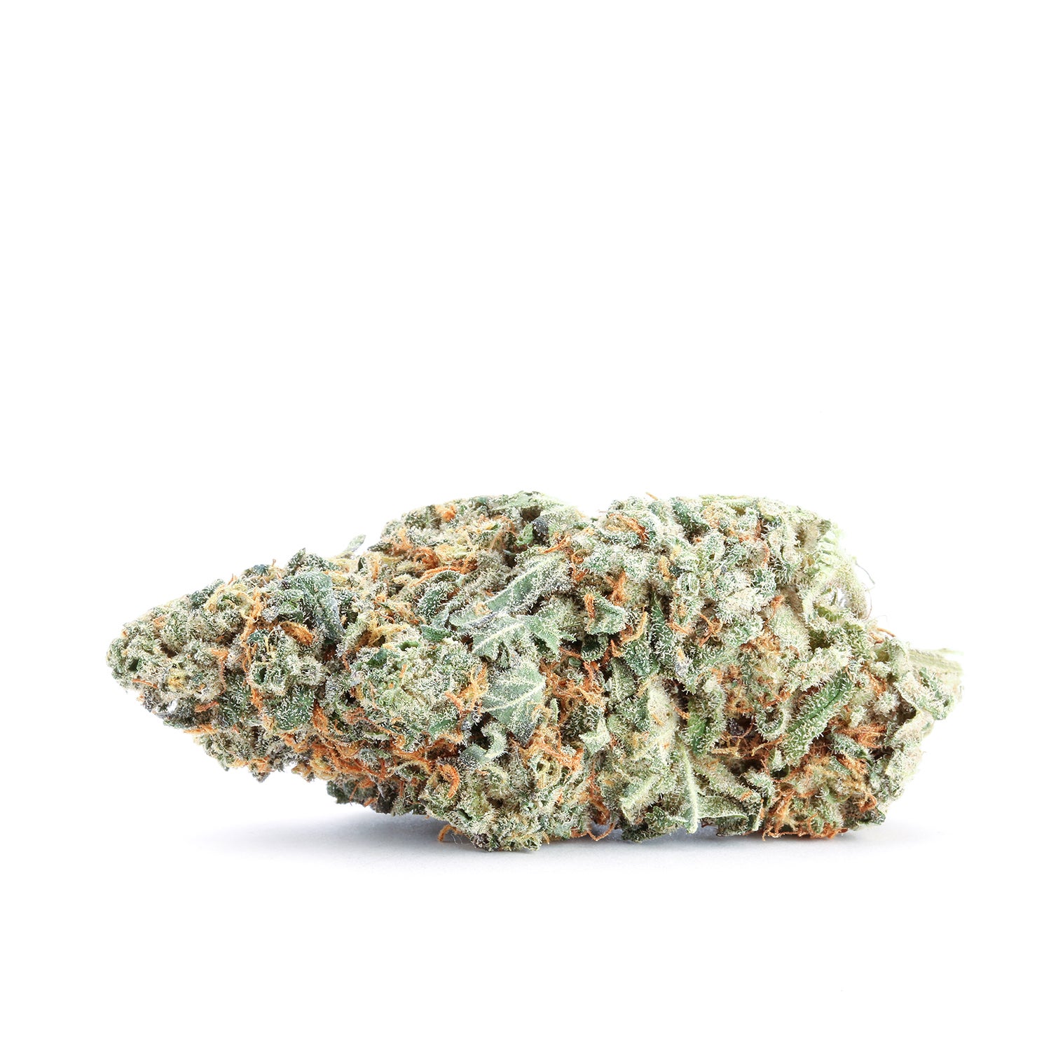 gold-flowers-dharamasala-organic-single-180723