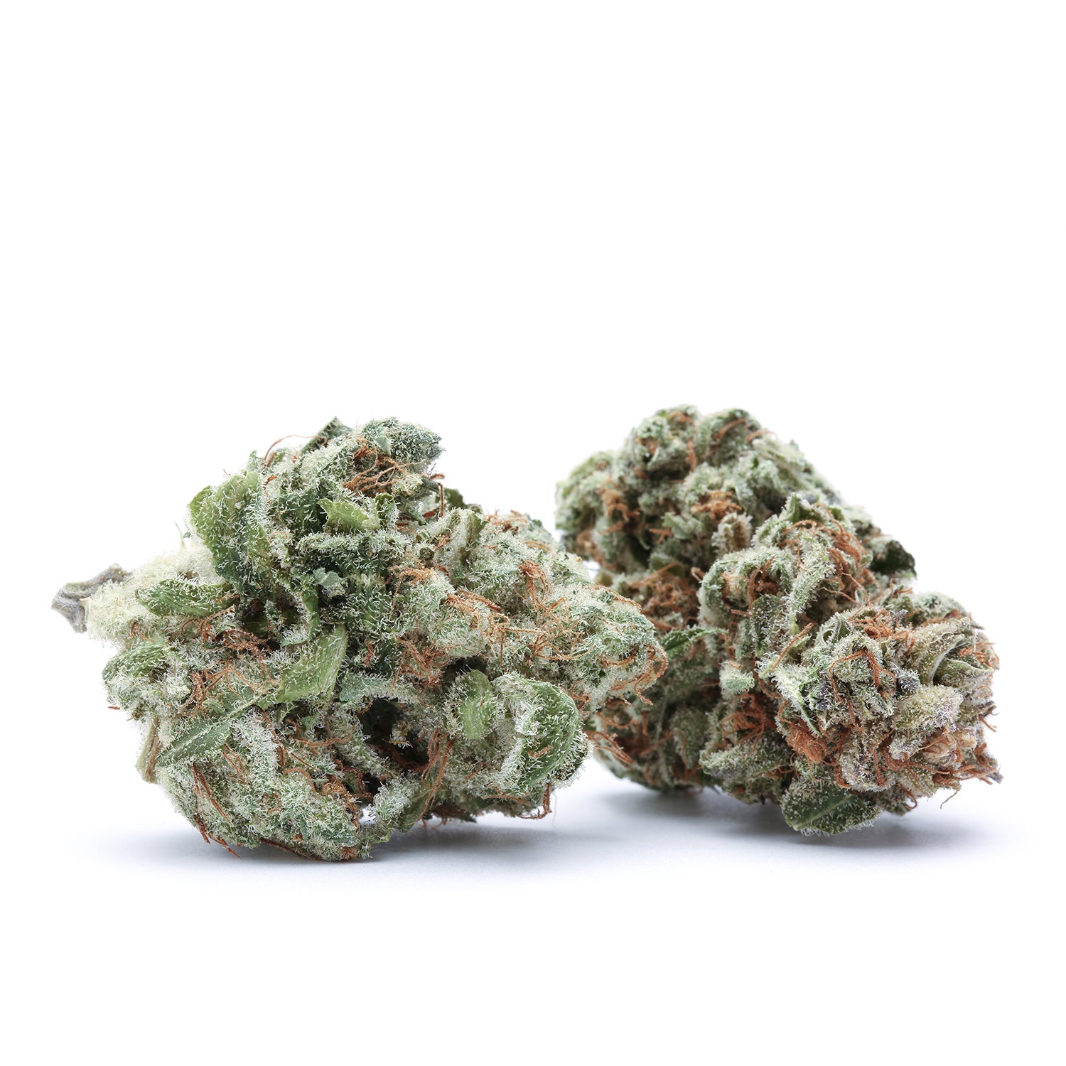 flowers-red-cherry-berry-group-181228-001