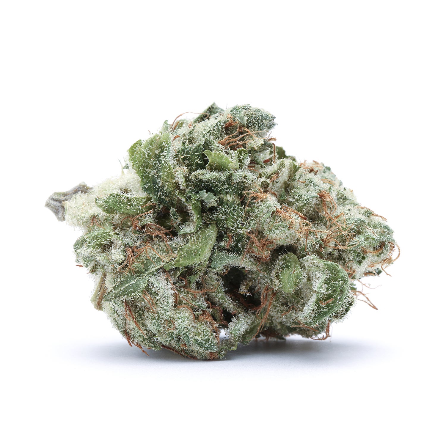 flowers-red-cherry-berry-single-181228