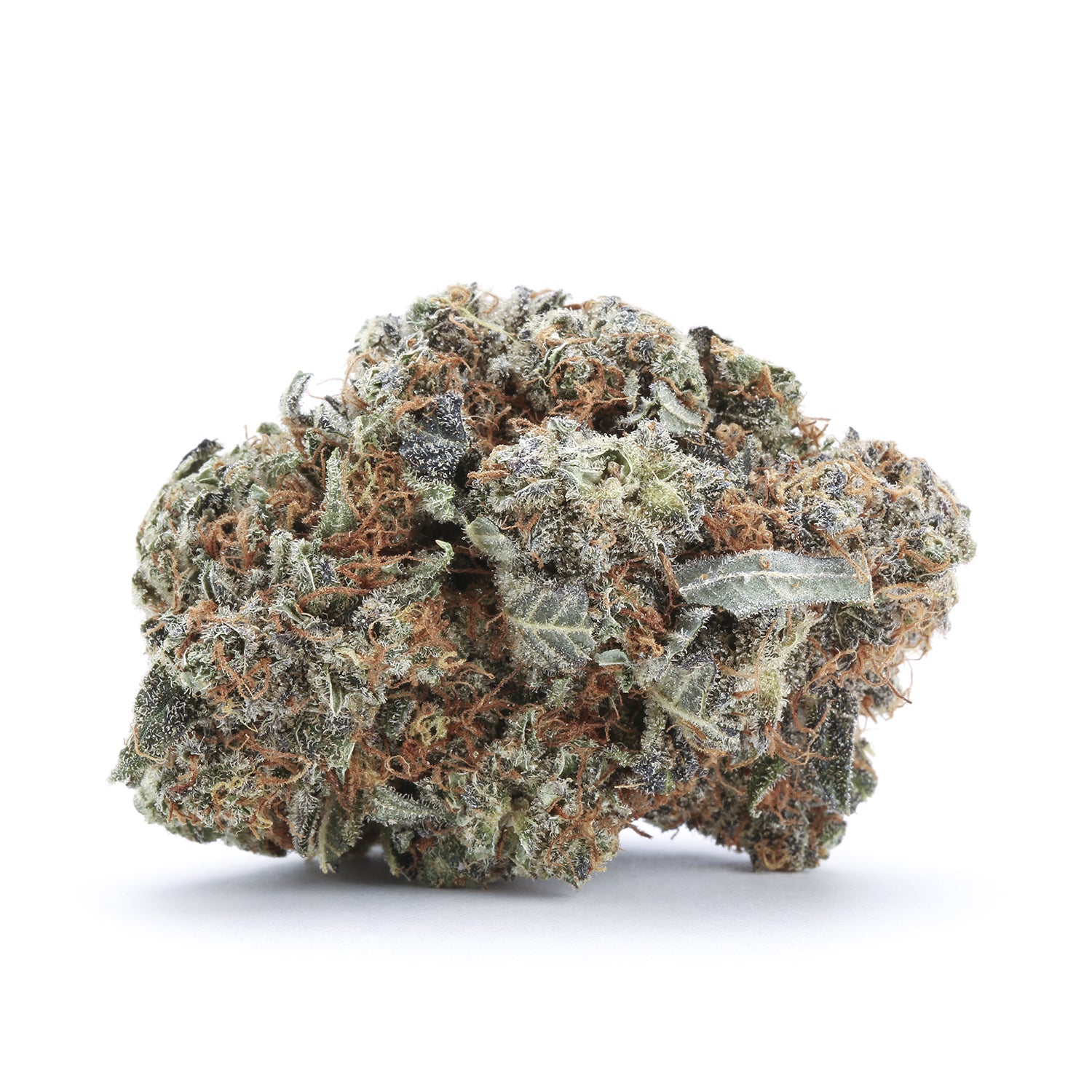 gold-flowers-cotton-candy-single-190219