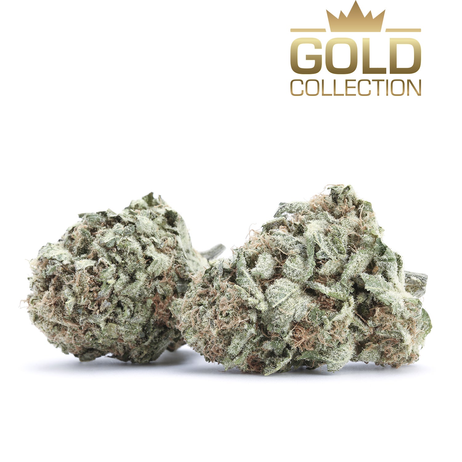 gold-flowers-girl-scout-cookies-group-190527