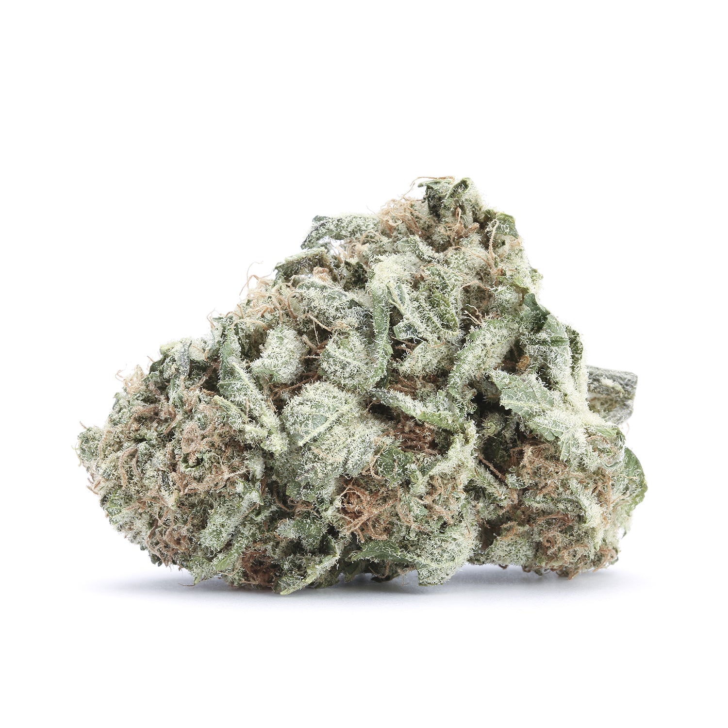 gold-flowers-girl-scout-cookies-single-190527