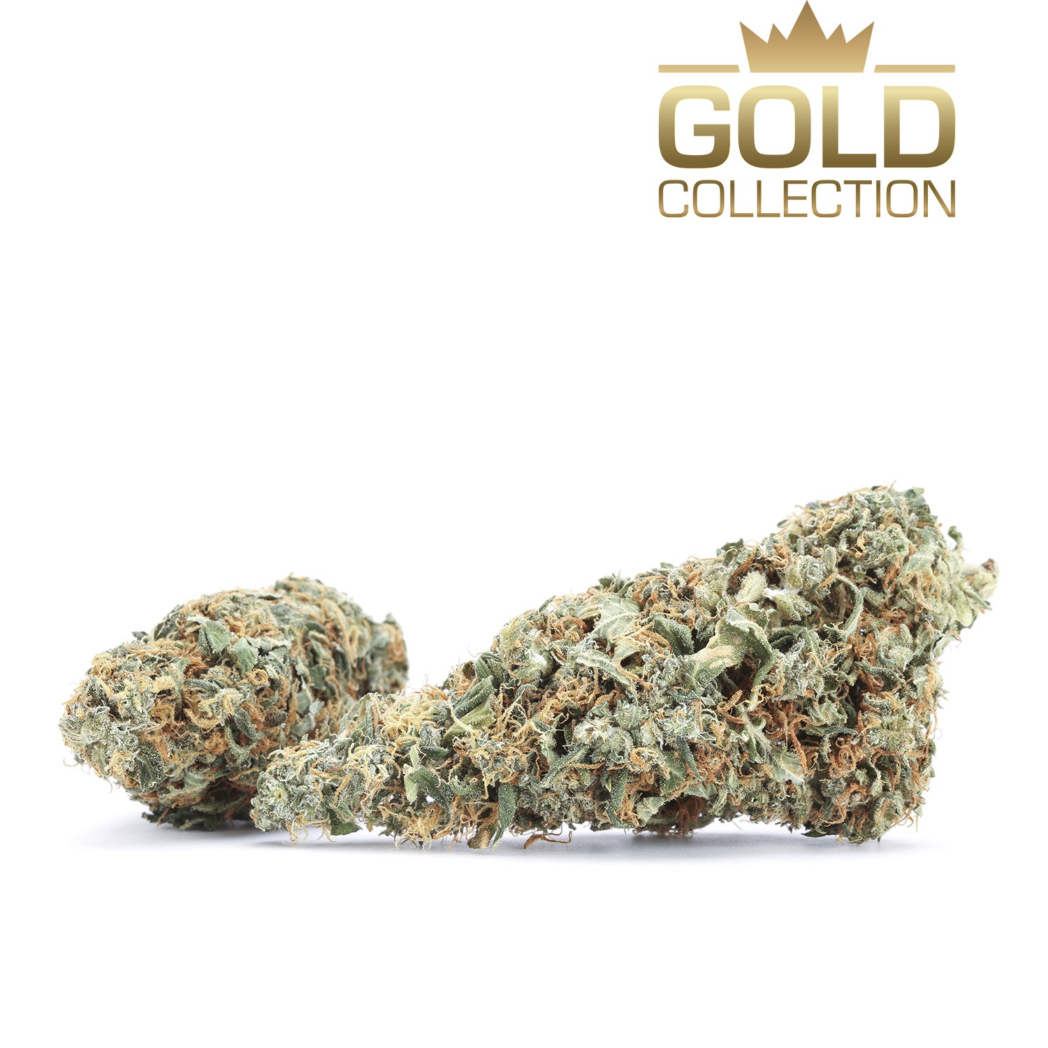 gold-flowers-charlottes-web-002-group-190715