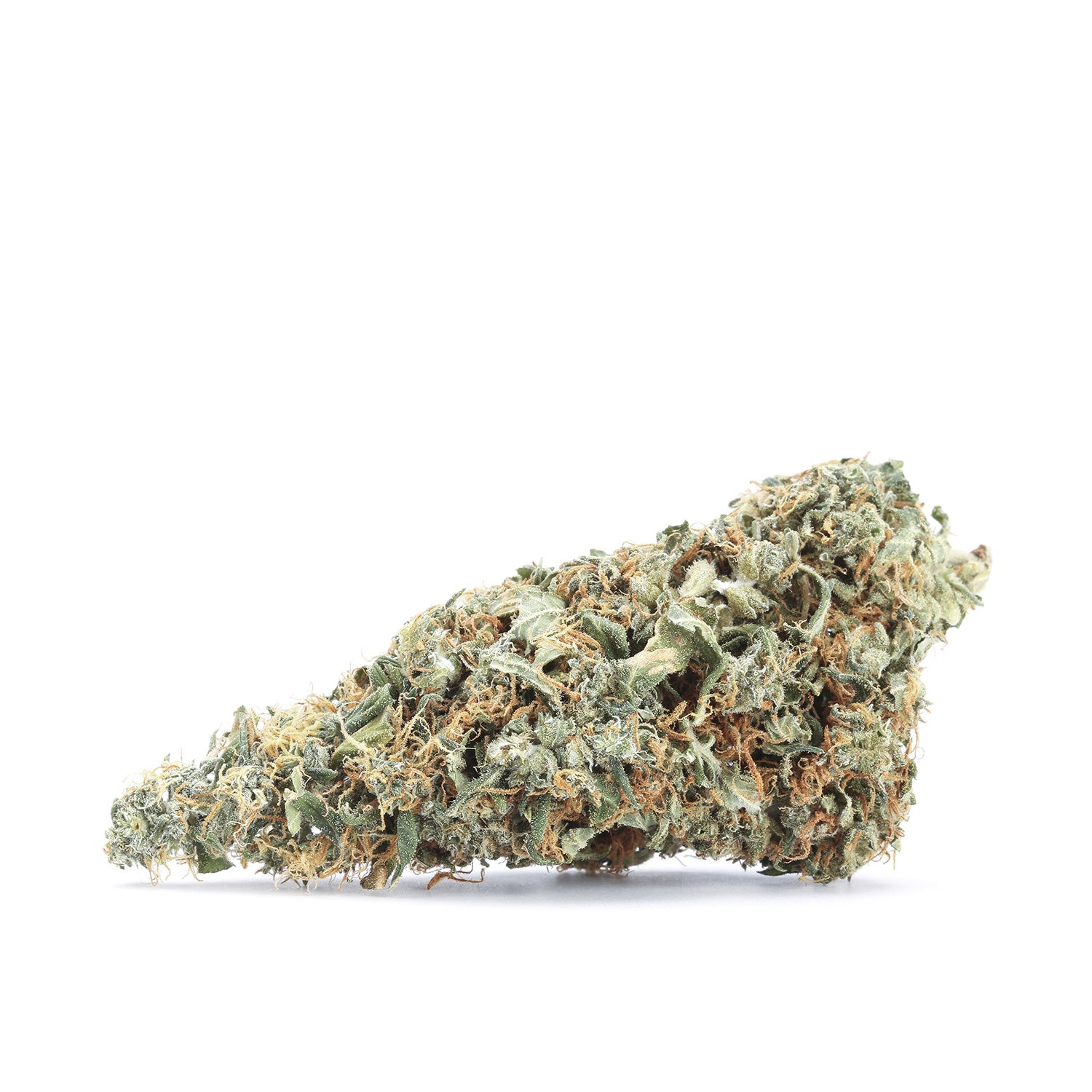 gold-flowers-charlottes-web-003-single-190715