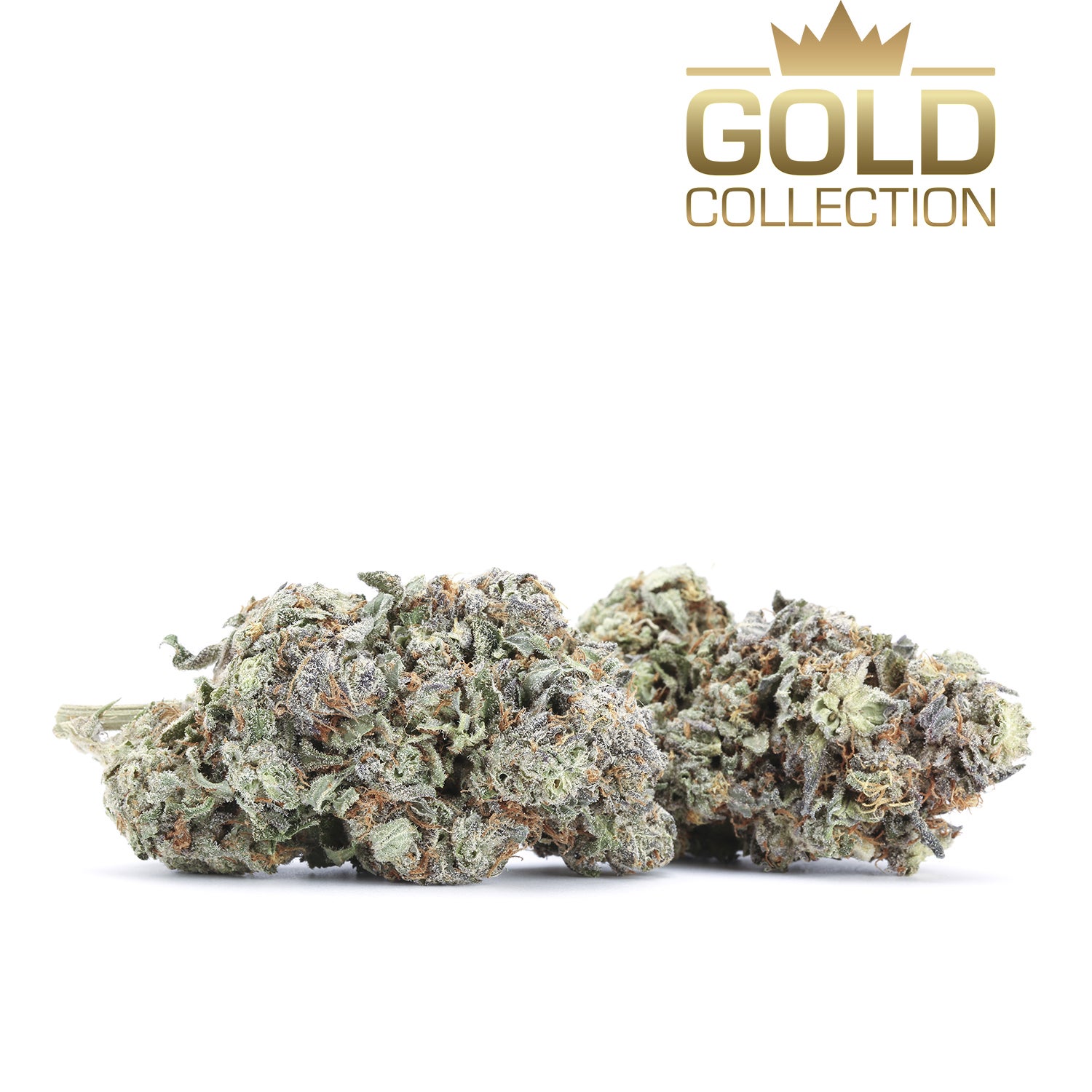 gold-flowers-sapphire-star-003-group-190715