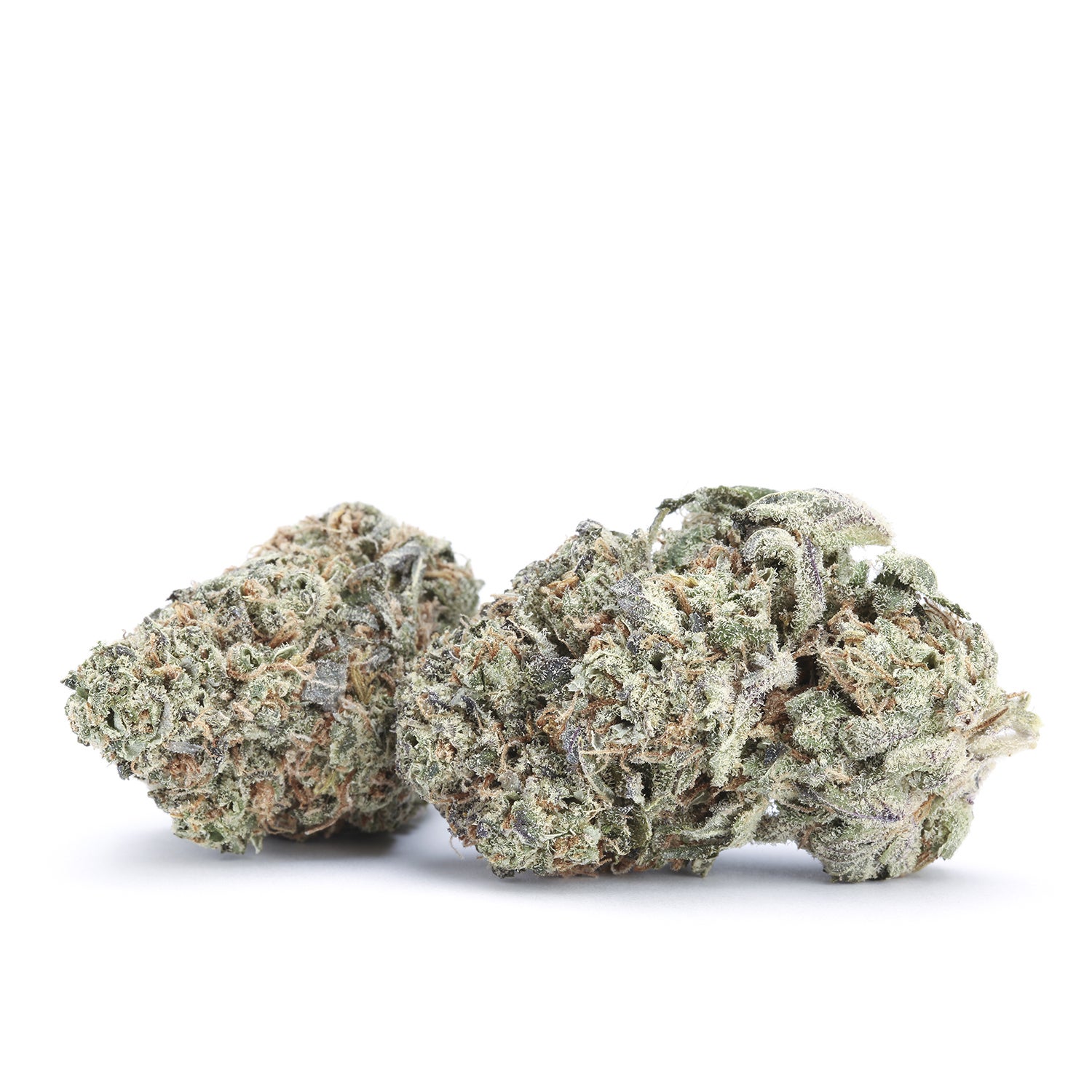 flower-cookie-kush-group-190823